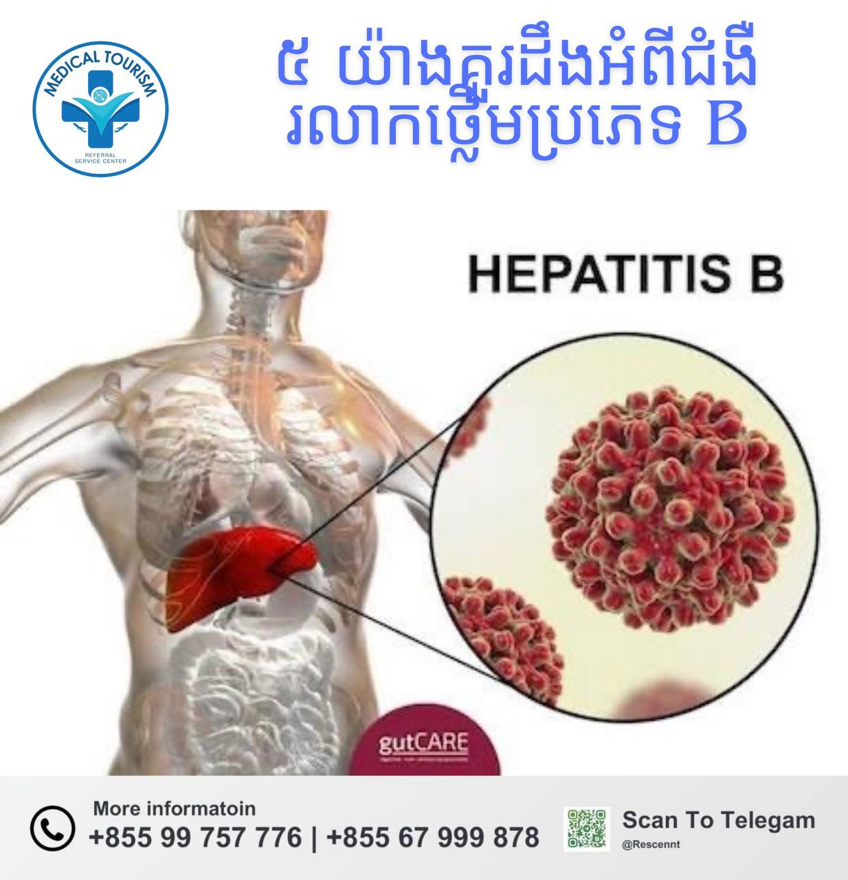 ជំងឺរលាកថ្លើមប្រភេទ B